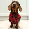Load image into Gallery viewer, Sausage Dog Box Perfect Fit Dachshund Coat - Tart’n Up
