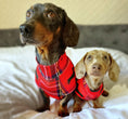 Load image into Gallery viewer, Dachshund Second Skin Tee - ‘Tart’n Up’