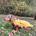 Load image into Gallery viewer, Golden Acorn Waterproof Dachshund Harness Fleece | Sausage Dog Box DoxieDri