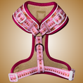 Load image into Gallery viewer, ‘Dashin’ Through The Dough’ Gingerbread Anti-Rub Dachshund Christmas Harness