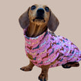 Load image into Gallery viewer, Pink Sophisticated Sausage Long Dog Zipper Dachshund Fleece Jumper / Sweater
