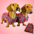 Load image into Gallery viewer, Tart'n Up 'Dach-A-Mac' Dachshund Rain Mac In Bag Sausage Dog Box Folda