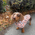 Load image into Gallery viewer, Beige Sophisticated Sausage Long Dog Zipper Dachshund Fleece Jumper / Sweater