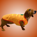 Load image into Gallery viewer, ‘The Carrot’ Dachshund Jumper PJ's | Sausage Dog Box