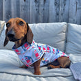 Load image into Gallery viewer, Nautical Sandy Sausage DoxieCool Dachshund Cooling Vest For Dachshund Dogs