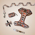 Load image into Gallery viewer, Beige Sophisticated Sausage Dachshund Lead