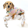 Load image into Gallery viewer, Daisy Balloon Thermal Dachshund Puffer Jacket Sausage Dog Harness Coat