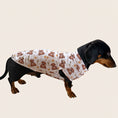Load image into Gallery viewer, Side view of a dachshund wearing Honey Bear dachshund pyjamas.