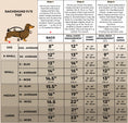 Load image into Gallery viewer, Honey Bear dachshund pyjamas size guide for miniature and standard dachshunds.