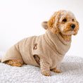 Load image into Gallery viewer, Cockapoo wearing the Hound Outfitters teddy dog drying robe