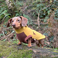 Load image into Gallery viewer, Dachshund wearing a mustard and brown DoxieDri waterproof fleece jumper outdoors