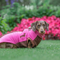 Load image into Gallery viewer, Dachshund wearing a pink DoxieDri waterproof jumper in a garden