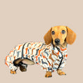 Load image into Gallery viewer, Waterproof four-legged dachshund rain mac and puddle suit for miniature and standard sausage dogs