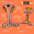 Load image into Gallery viewer, DoxieLite dachshund harness feature guide showing lightweight anti-rub design