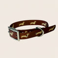 Load image into Gallery viewer, DoxieFlex waterproof Biothane dachshund collar with adjustable buckle.