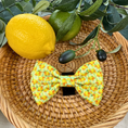 Load image into Gallery viewer, Sicilian Sausage Dachshund Bow Tie
