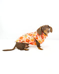 Load image into Gallery viewer, Harvest Hounds Long Dog Zipper Dachshund Fleece Jumper
