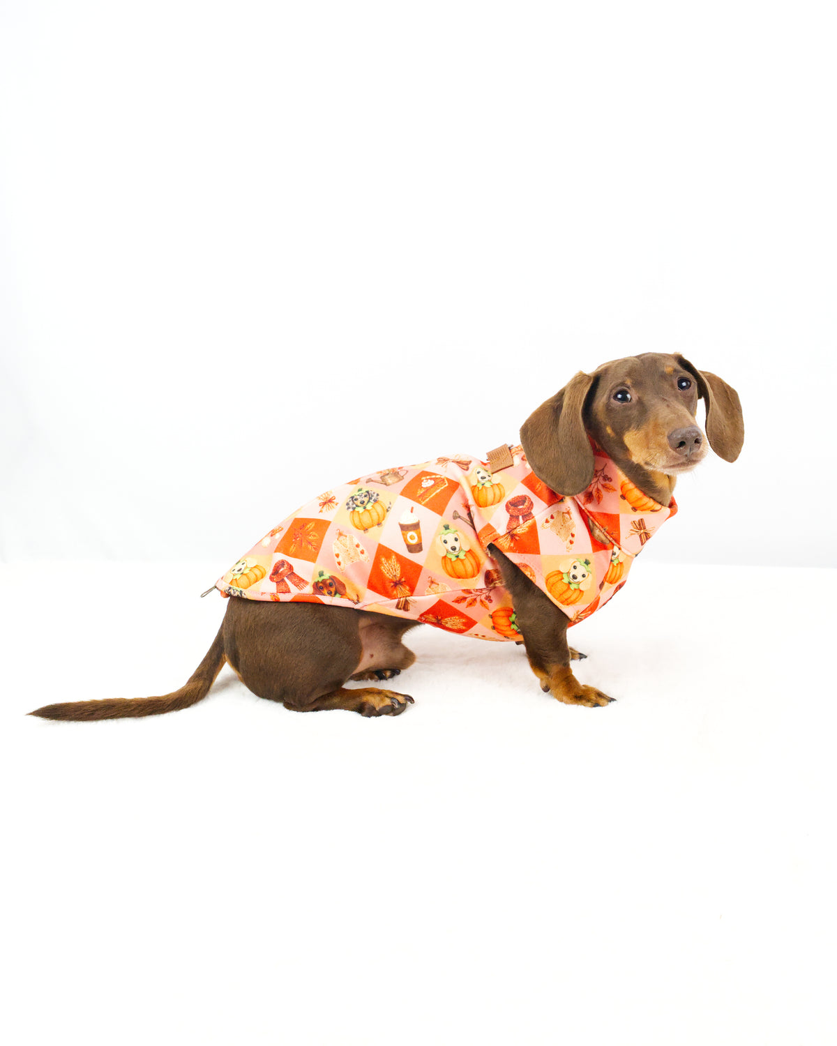 Harvest Hounds Long Dog Zipper Dachshund Fleece Jumper