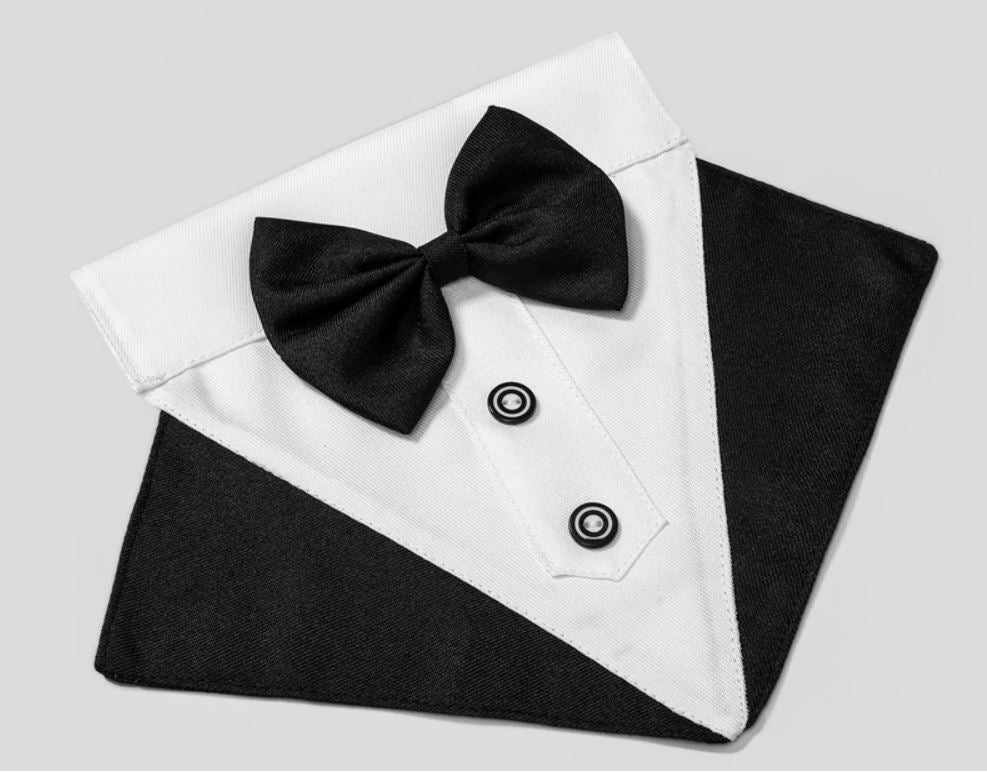 Sausage Dog Box Bowtie Cravat With Clip