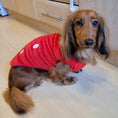 Load image into Gallery viewer, Red Juicy Strawberry - Sausage Dog Box Dachshund PJ's/Jumper
