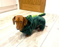 Load image into Gallery viewer, Sausage Dog Box Dachshund Dinosaur Outfit
