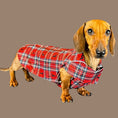 Load image into Gallery viewer, Tart'n Up 'Dach-A-Mac' Dachshund Rain Mac In Bag Sausage Dog Box Folda

