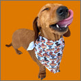 Load image into Gallery viewer, Bandana - Weiner On Wheels

