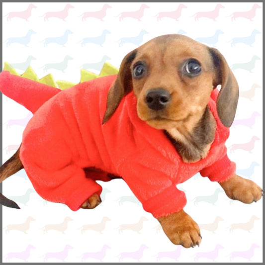 Sausage Dog Box, Dachshund Dachshund Dragon Outfit - Red
