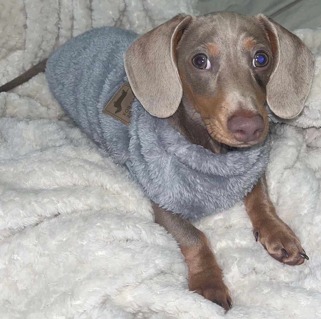 Silvery Grey Dachshund Snuggle Fleece - Sausage Dog Box Jumper