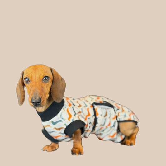 Sophisticated Sausage Antibacterial Dachshund Dog Surgery Suit