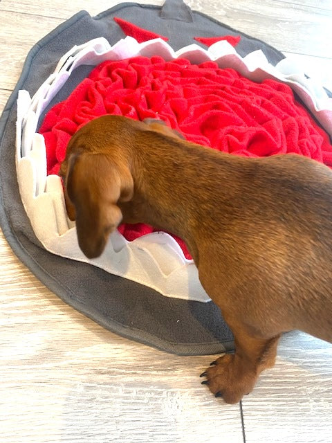 Sausage Dog Box Large Shark Snuffle Mat