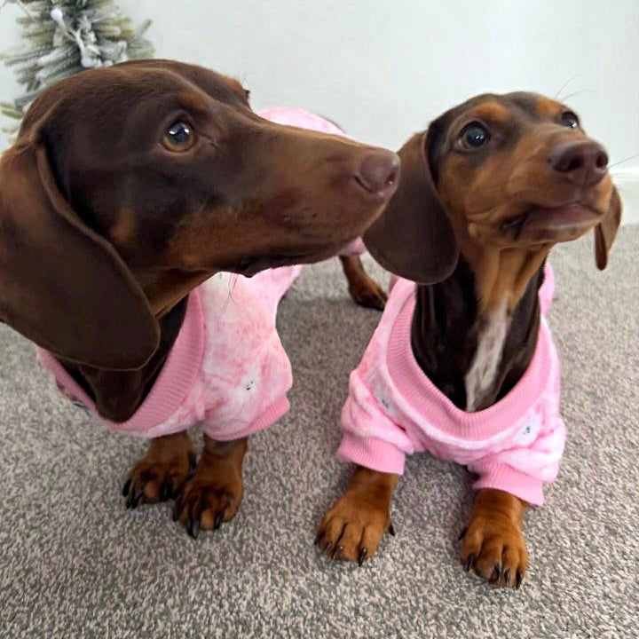 Snow Cute Dachshund Christmas PJ Onesie Outfit - Pink