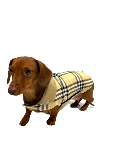 Sausage Dog Box Dachshund Reversible Plaid Coat Beige