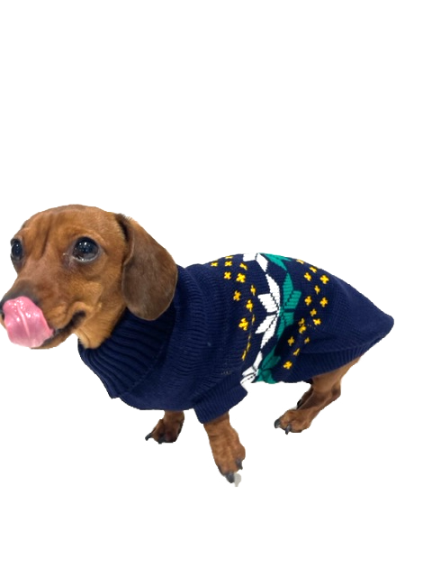 CLEARANCE - Sausage Dog Box Dachshund Navy & Green Leaf Jumper