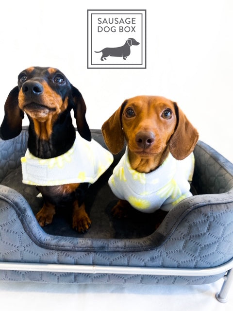 Sausage Dog Box, Dachshund Amity Grey/Silver Luxury Velvet Dog Bed Sofa