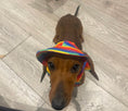 Load image into Gallery viewer, Sausage Dog Box Summer Sun Hat
