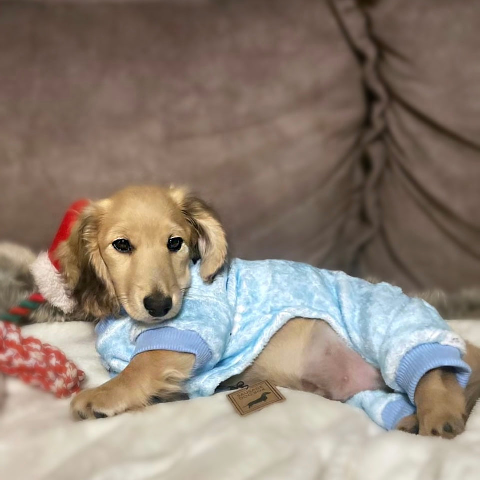 Snow Cute Dachshund Christmas PJ Onesie Outfit - Blue