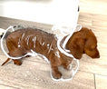 Load image into Gallery viewer, Dachshund Waterproof Rain Mac/Coat With Hood
