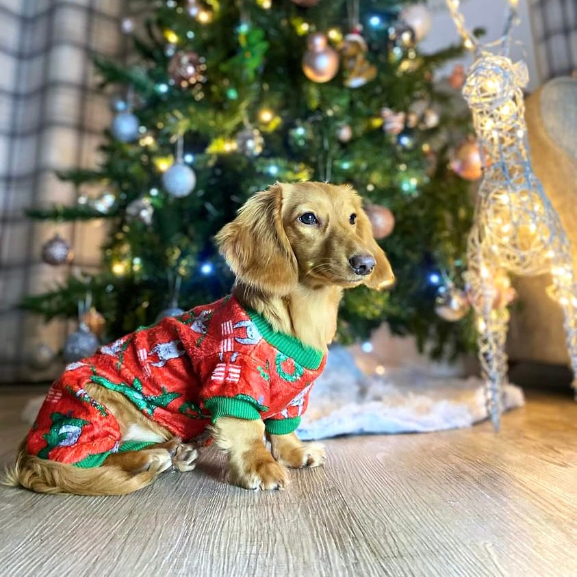 Merry Slothmas Dachshund Christmas Pj Onesie Outfit