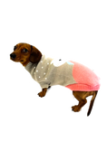 Load image into Gallery viewer, Sausage Dog Box Dachshund Bunny Jumper
