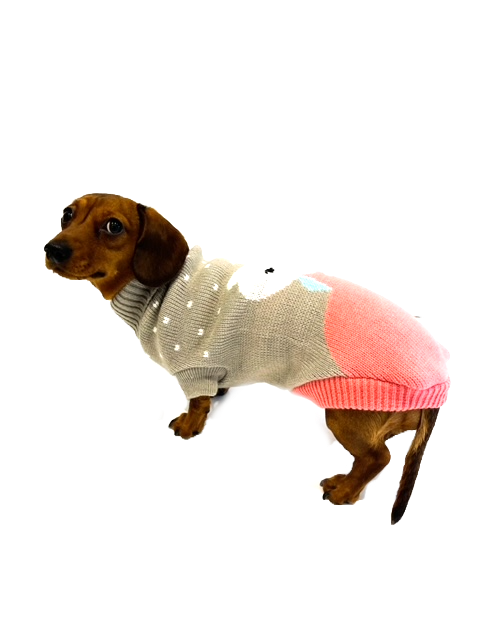 Sausage Dog Box Dachshund Bunny Jumper
