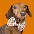 Load image into Gallery viewer, Bow Tie - Weiner On Wheels
