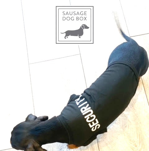 CLEARANCE - Sausage Dog Box Security Vest