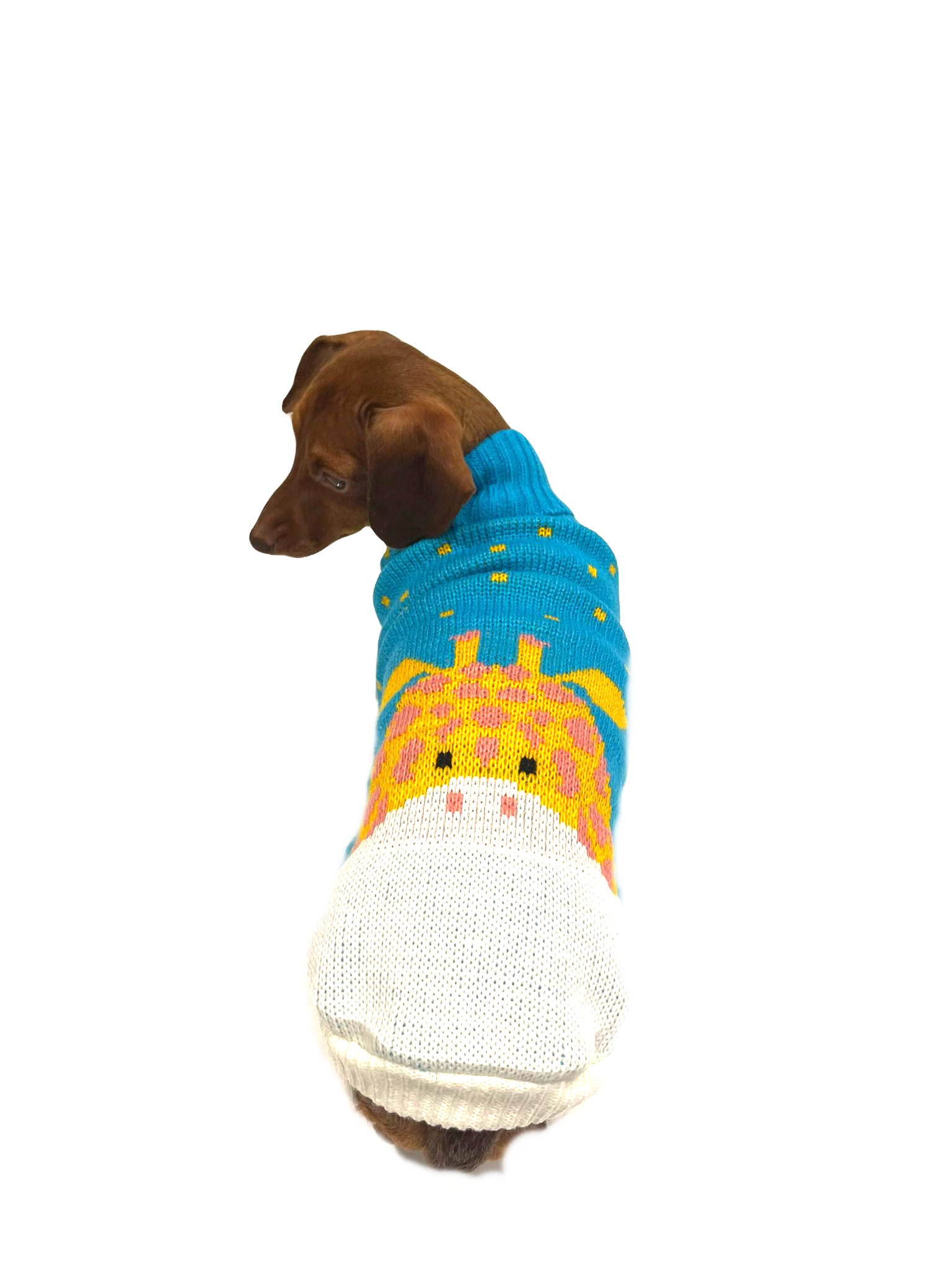 Sausage Dog Box Dachshund Giraffe Jumper