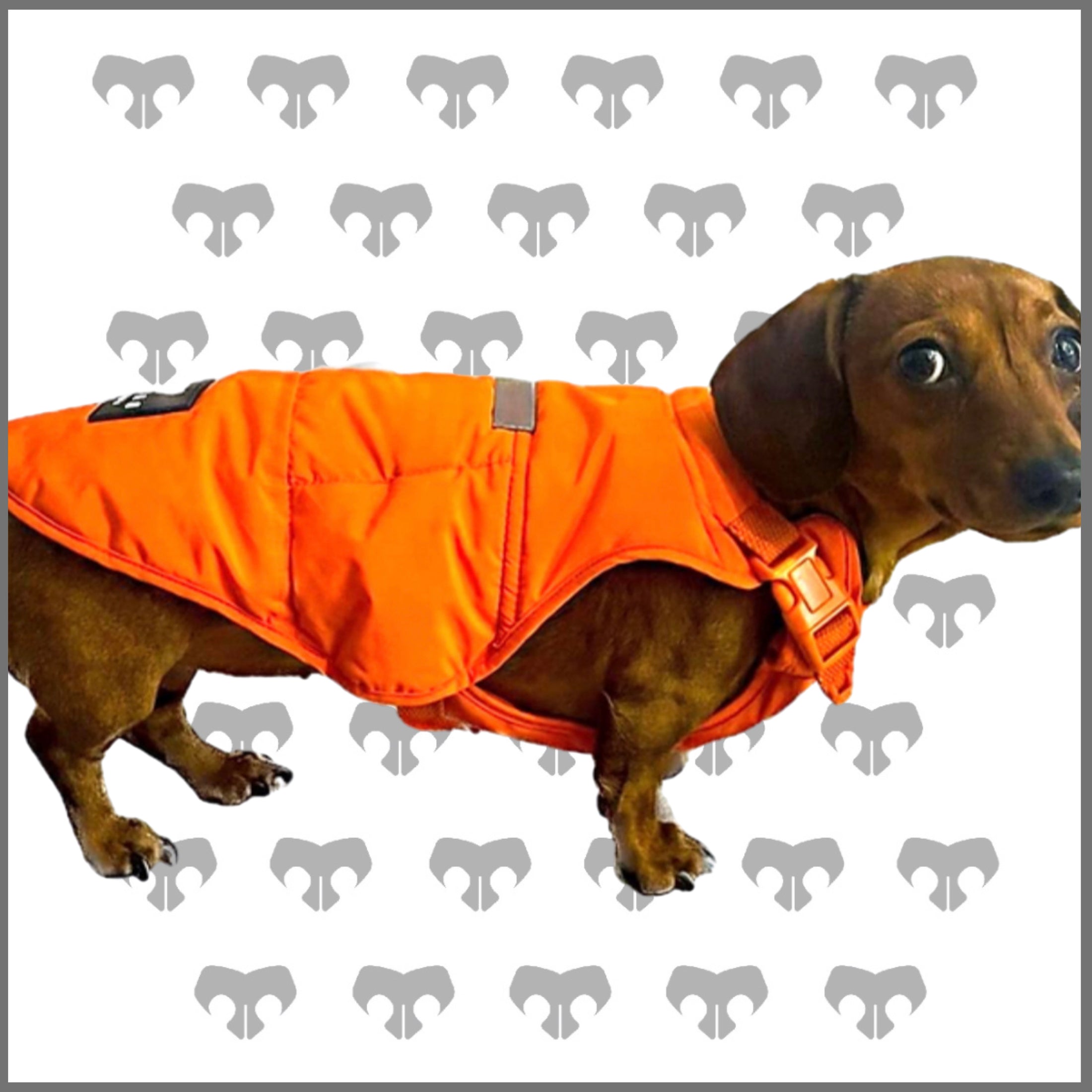 BARK AVENUE Luxury Ultimate Explorer Coat   - Orange