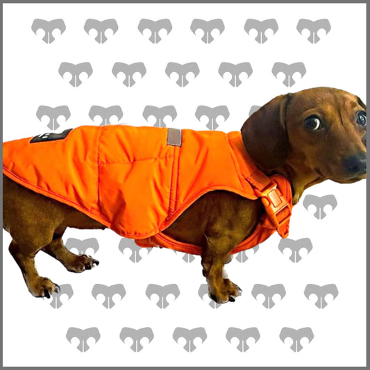 BARK AVENUE Luxury Ultimate Explorer Coat   - Orange