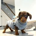 Load image into Gallery viewer, XXS Tiny Puppy Snuggle Dachshund Fleece - 20cm / 8inch Back | Sausage Dog Box
