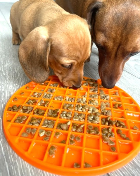 Sausage Dog Box Lick Mat