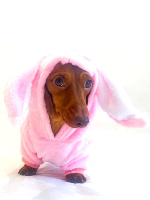 Dachshund Bunny Outfit
