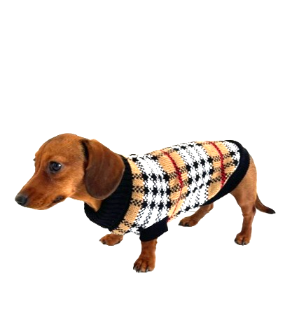 Sausage Dog Box Dachshund Chequered Jumper